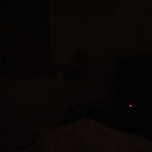 Meet your Posher, Ray